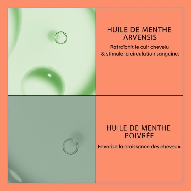 Conditioner system 4 1000ml