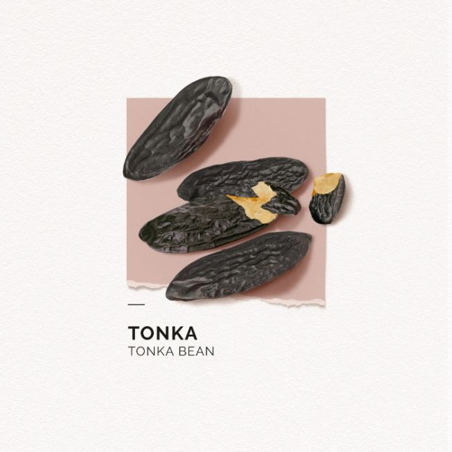 Lichaamsmelk Verstevigend Tonka Solinotes 200ml