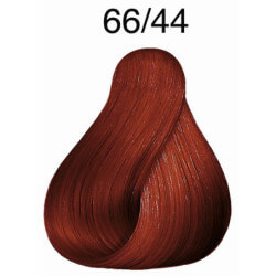 Vibrant Color Touch Reds