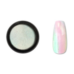Polvere per Nail Art...