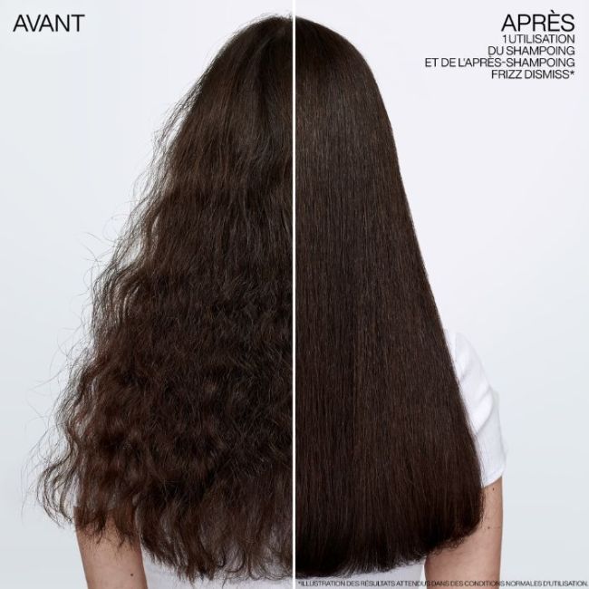 Frizz Dimiss Redken maschera anticrespo 250ML