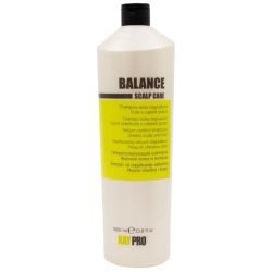Shampoo voor vet haar Balance KayPro 1L