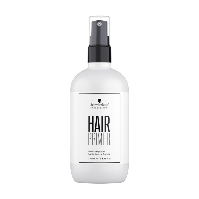 Porositeitsegalisator Color Expert Schwarzkopf 250ml