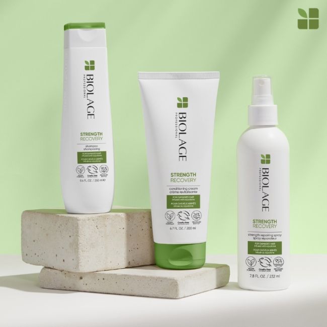 Spray sans rinçage cheveux abîmés Strength Recovery Biolage 232ml Spray sans rinçage cheveux abîmés Strength Recovery Biolage 232ml