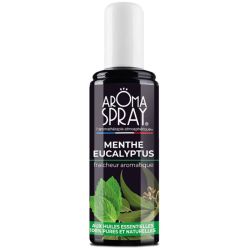 Aroma Spray 100% BIO Menthe Eucalyptus 100ml