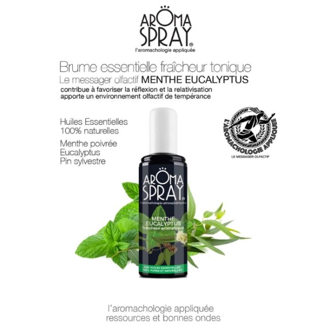 Aroma Spray 100% BIO Menthe Eucalyptus 100ml