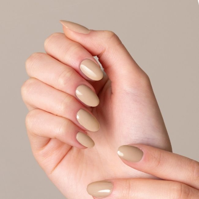 Vernis semi permanent professionnel Gelegant Expert Line 808 Teddy MNP 8ml