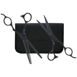 Set ciseaux de coupe 5.00' et effileur 6' 35 dents Sillcut Pro Matt Olivia Garden