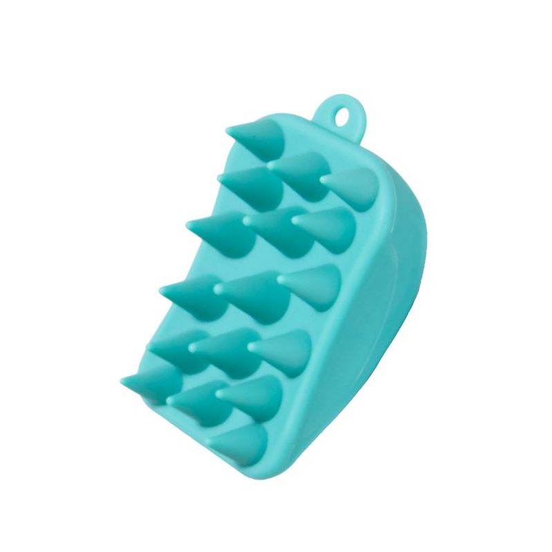 Scalp Brush in Haircare