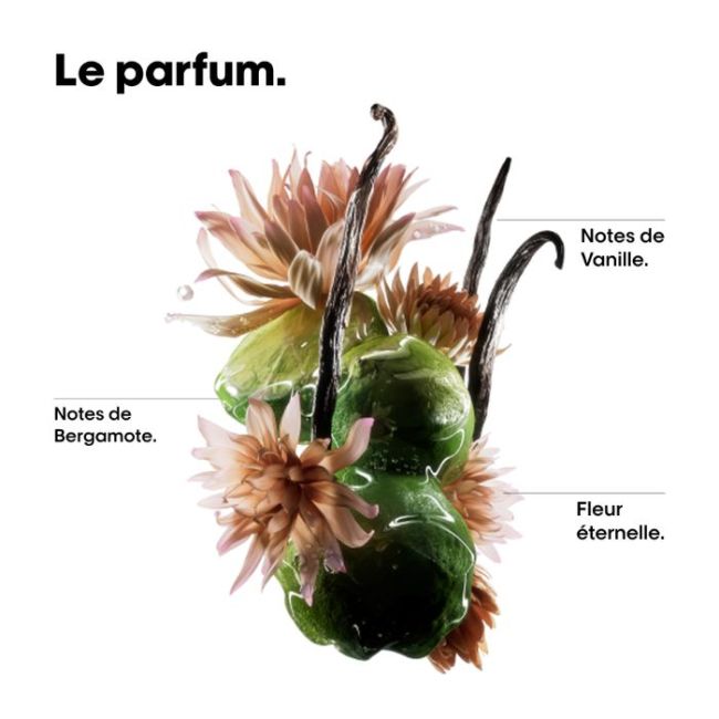 Huile bi-phase réparatrice Absolut Repair Molecular L'Oréal Professionnel 90ML