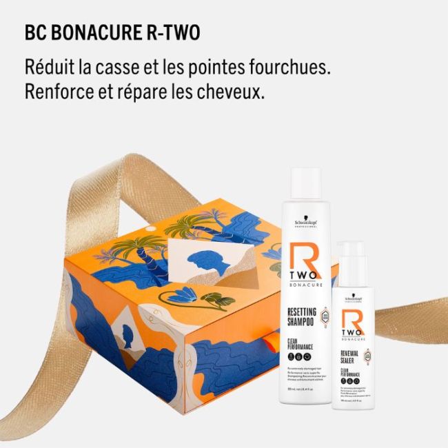 Coffret R-Two réparation profonde Schwarzkopf
