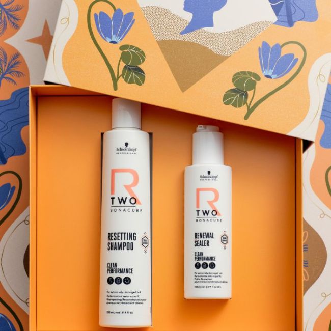 Coffret R-Two réparation profonde Schwarzkopf