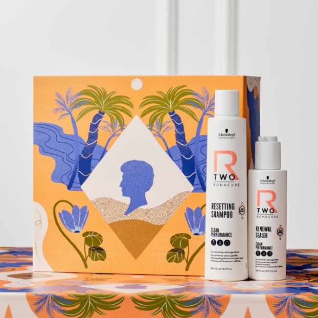 Coffret R-Two réparation profonde Schwarzkopf