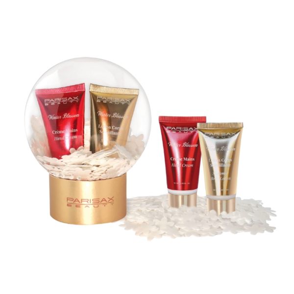 Coffret boule de neige Parisax