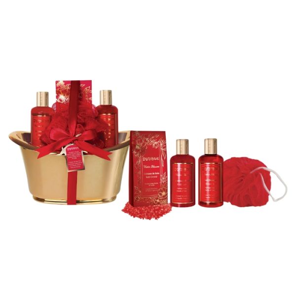 Coffret baignoire spa Parisax
