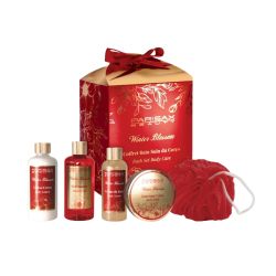 Coffret spa corps et bain Parisax