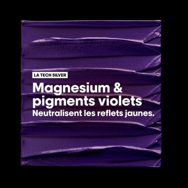 Silver Shampoo L'Oréal Professionnel 300ML Refillable