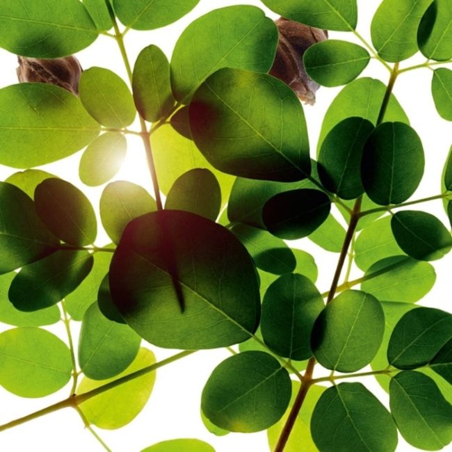 Gommage Esfoliante Pelle Nuova Clarins 200ml