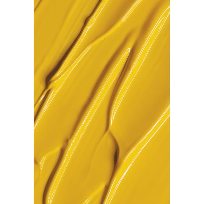 Gel Paint 05 Andreia 4ml