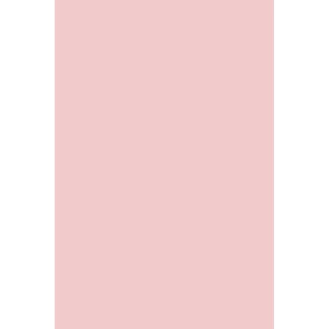 Esmalte semipermanente Gel Polish 200 Andreia 10,5ml