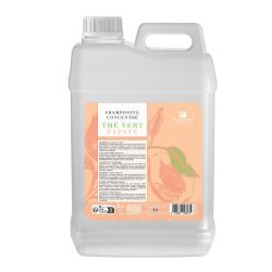 Shampooing concentré Amande Thé vert Papaye Professionnel 3L