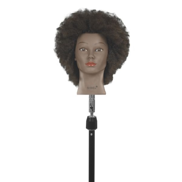 Tête d'apprentissage Amara Sibel