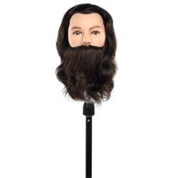 Tête d'apprentissage Erik