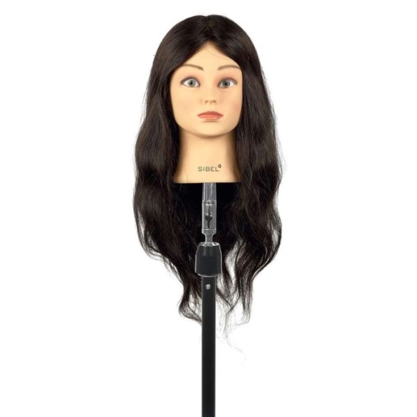 Tête d'apprentissage Francine Sibel