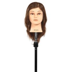 Tête d'apprentissage Lisa