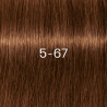 Colorations Igora Royal Zéro Amm Schwarzkopf 60ML (par nuances)