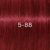 Colorations Igora Royal Zéro Amm Schwarzkopf 60ML (par nuances)