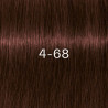 Colorations Igora Royal Zéro Amm Schwarzkopf 60ML (par nuances)