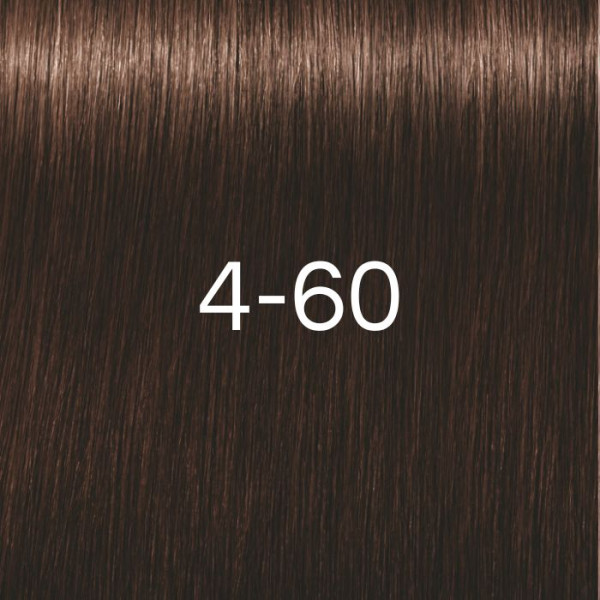 Colorations Igora Royal Absolutes Schwarzkopf 60 ml | Nuances