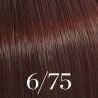 Kleurverf Color Touch Wella 60ml (per nuance)