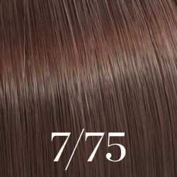 Colorazione Color Touch Wella 60ml (per tonalità)