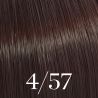 Colorazione Color Touch Wella 60ml (per tonalità)
