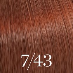Colorazione Color Touch Wella 60ml (per tonalità)