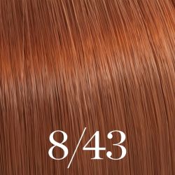 Color Touch Wella 60ml (by shades)