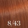 Färbung Color Touch Wella 60ml (nach Nuancen)