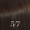 Illumina Color 60ML (por números/colores)