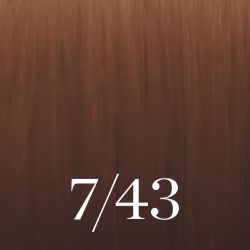 Illumina Color 60ML (per numeri/colori)