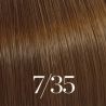 Illumina Color 60ML (nach Zahlen/Farben)
