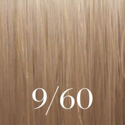Illumina Color 60ML (nach Zahlen/Farben)