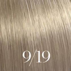 Illumina Color 60ML (nach Zahlen/Farben)