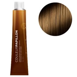 Färbung Butterfly Color 8.31 Hellblond Aschgoldene Frisur 100 ml