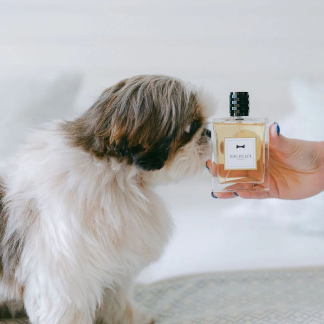 Dog de Lux 100ML Perfume – Premium alcohol-free perfume for dogs.