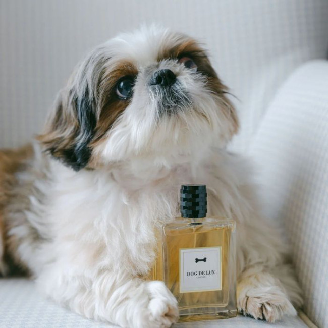 Perfume cão Dog de Lux 100ML – Perfume premium sem álcool