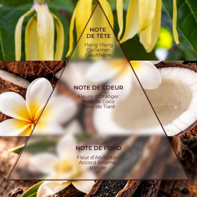 Eau parfumée Terre des Vahinés Rêve de Lagon Académie Scientifique de Beauté 150ml