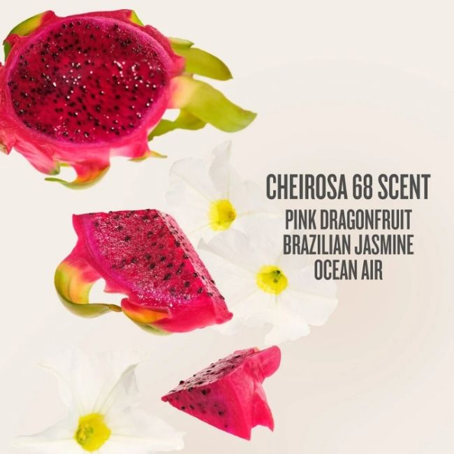 Coffret soin corps Jet Set Beija Flor Sol de Janeiro