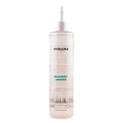 Blow-Tox Lamellar Treatment: smooth and shiny hair 400ml